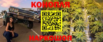 шишки Волжск