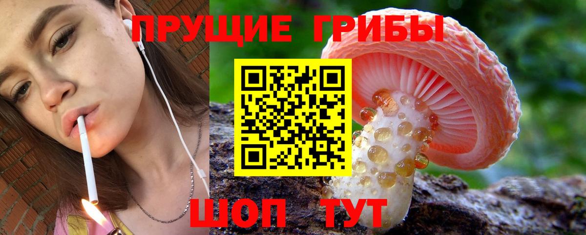 Рязань  Псилоцибиновые грибы мухоморы  Галлюциногенные грибы ЛСД  Вход с VPN 